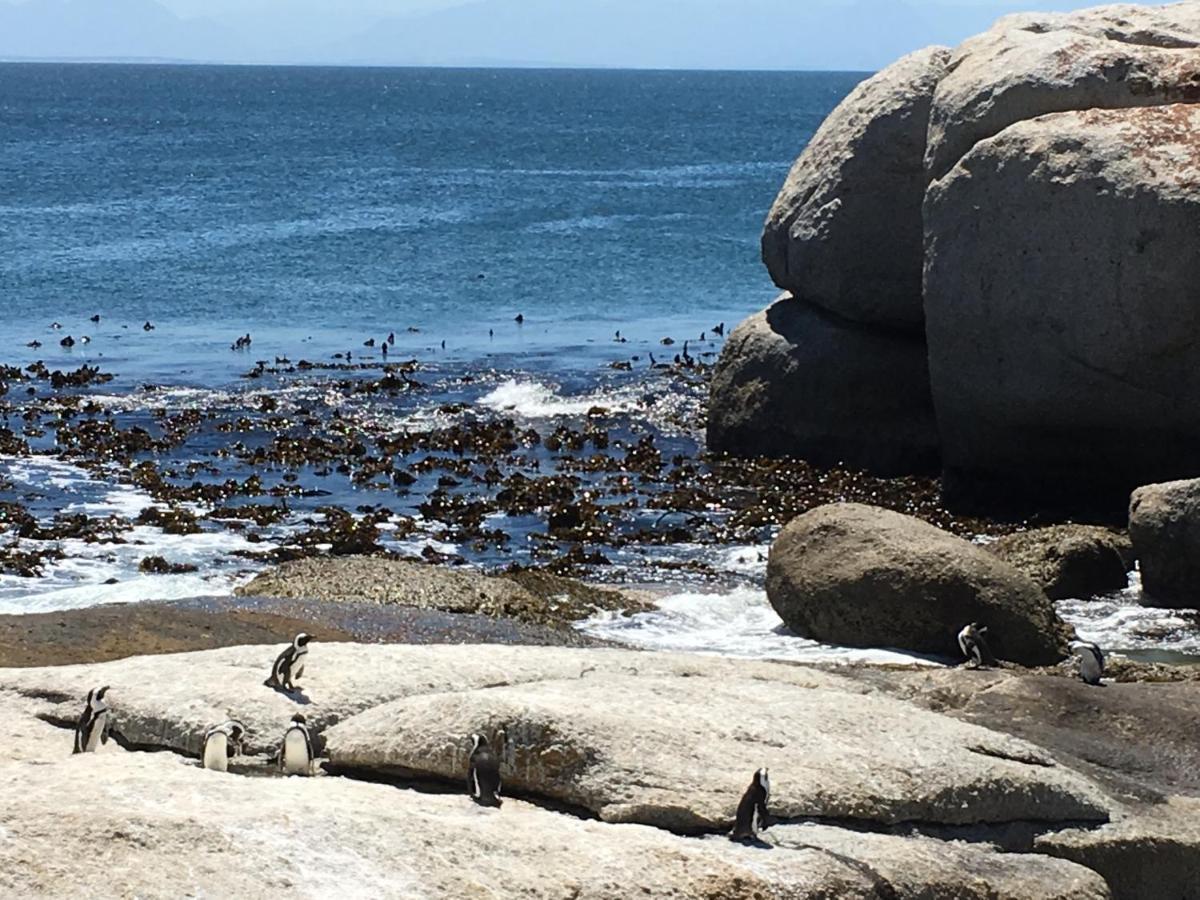 Dream A Little Apartment Simon's Town Luaran gambar